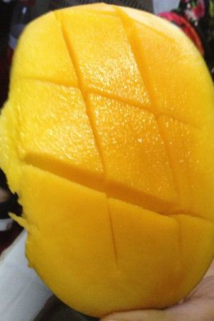 4月越南柬埔寨14日高性价比毕业旅行,超多经典