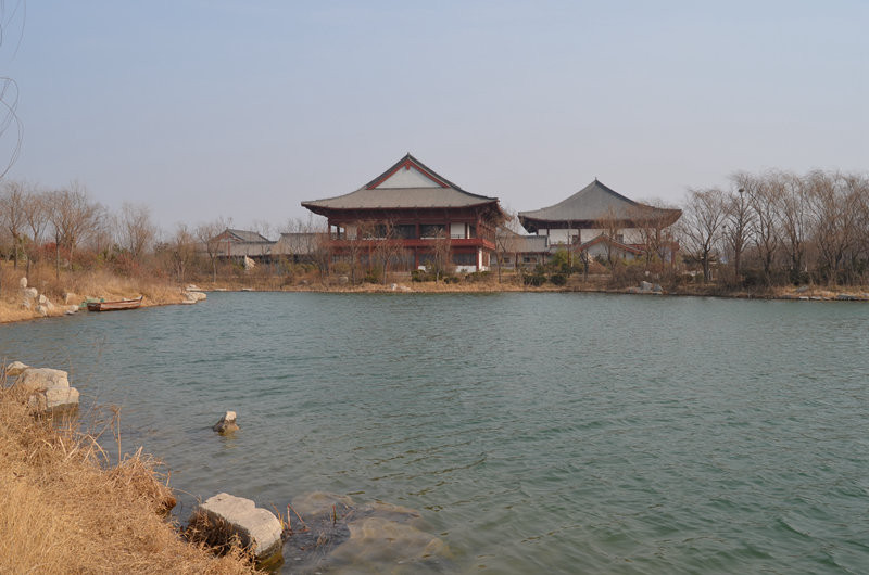 2014年1月29日,潍坊(金泉寺,白浪河绿洲湿地公园,风筝