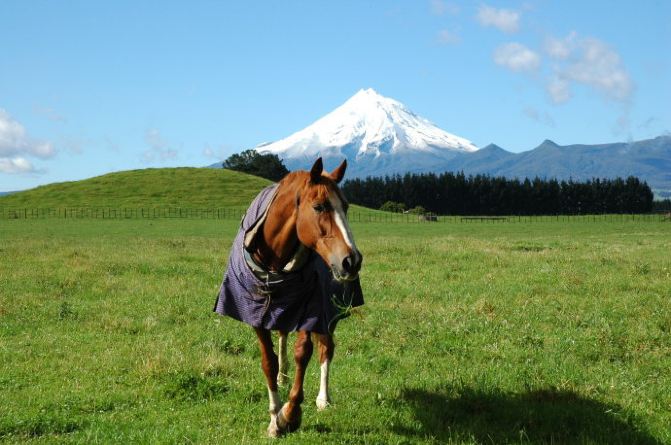 新西兰自由行攻略 最经济的航线是先从北京或