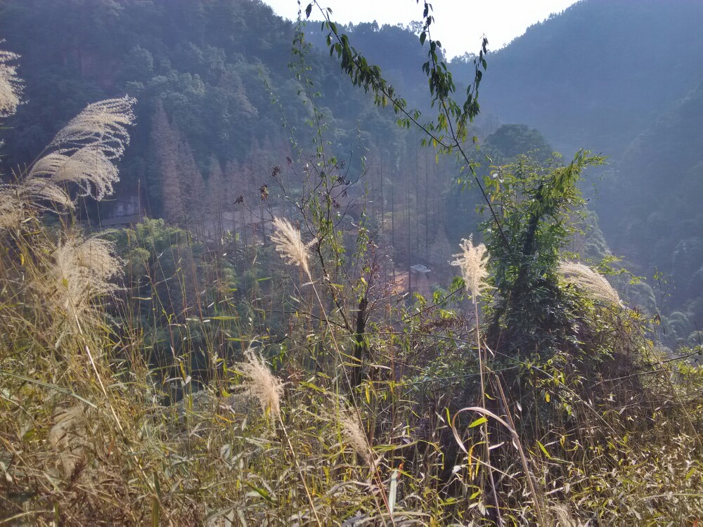 眉山青神中岩风景区中岩