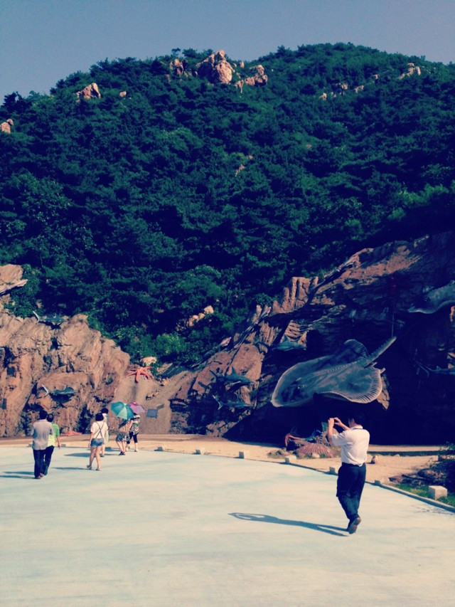 高中毕业v高中沿海高中【威海,大连,烟台,青岛】泉州市之旅直属图片