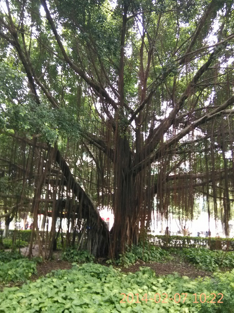 这个冬天漫步厦门