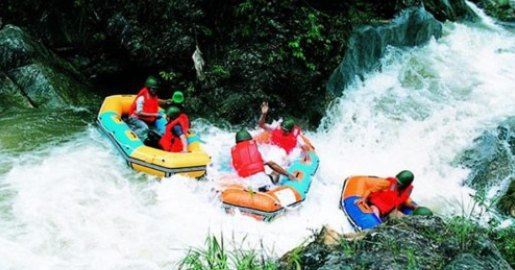 杭州动物园门票多少钱_杭州动物园门票价格_