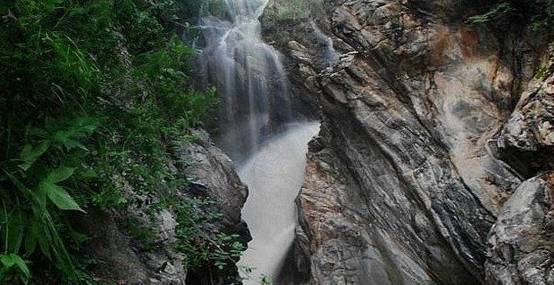 太平森林公园门票多少钱_太平森林公园门票价