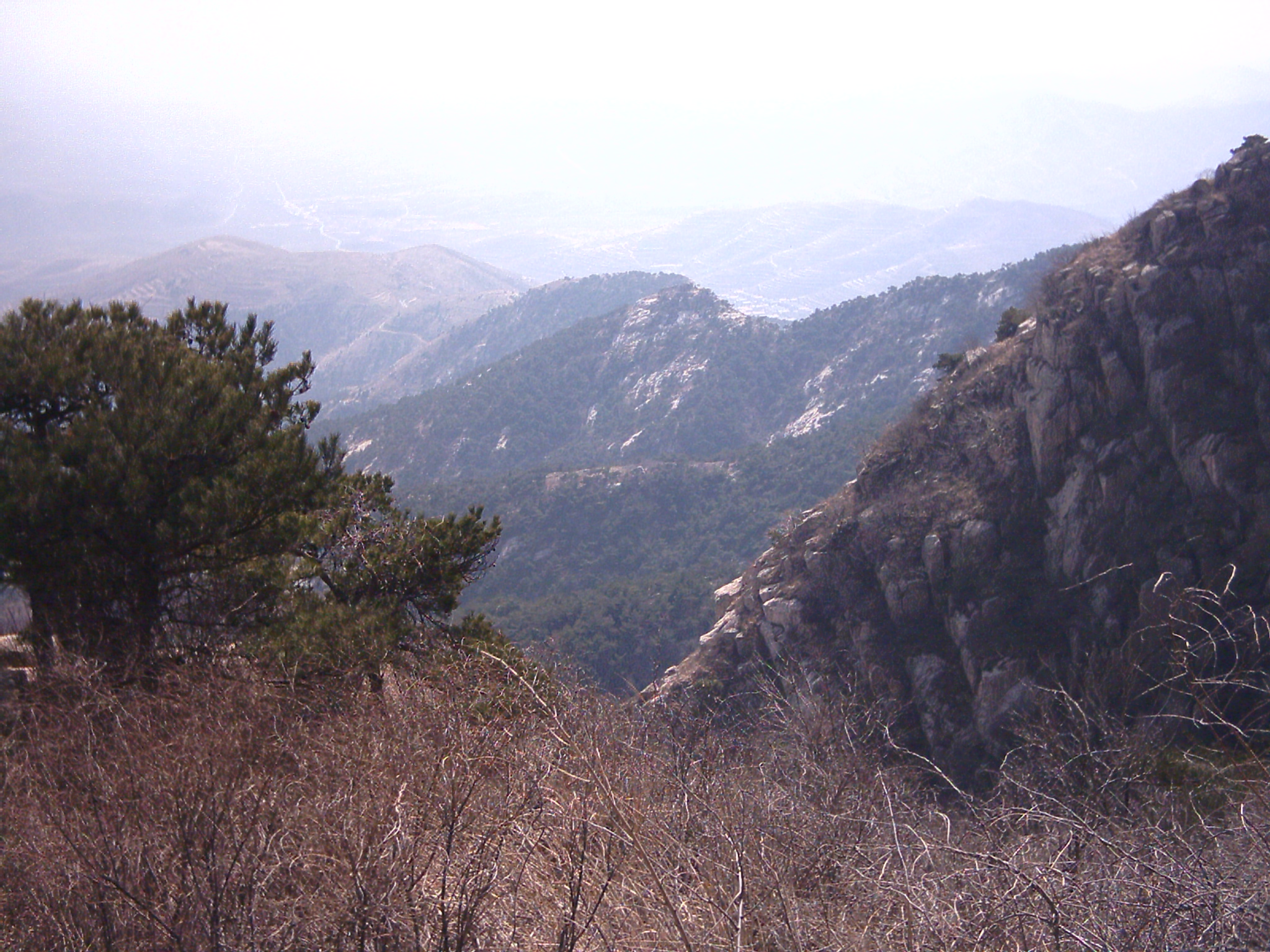 山东栖霞牙山