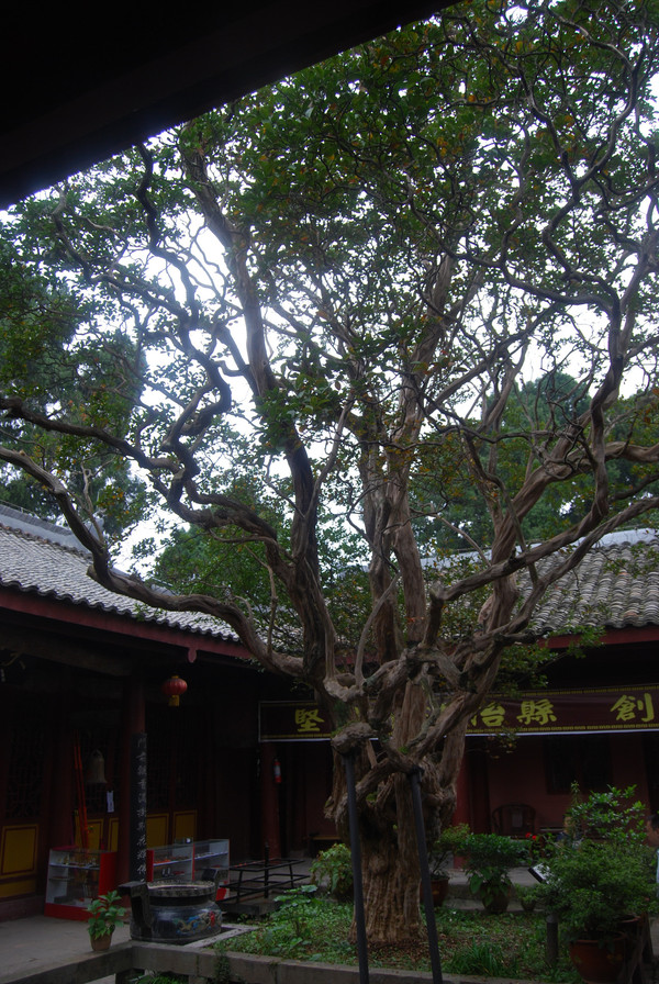梁山寺始建于唐,经过历代修葺,清时扩建为两进四合院,建筑面积947平方