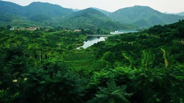 龙山风景区门票,莱芜龙山风景区攻略/地址/图片/门票