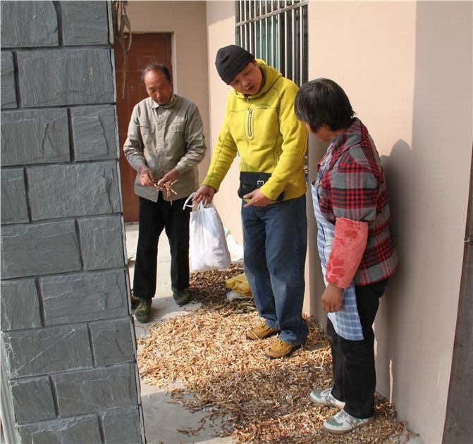 2011年12月浦东郊游 - 上海游记攻略