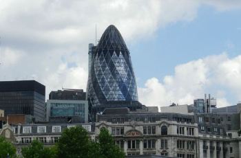 the gherkin