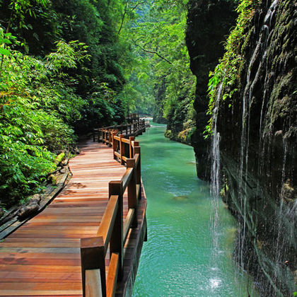 重庆黑山谷风景区一日游