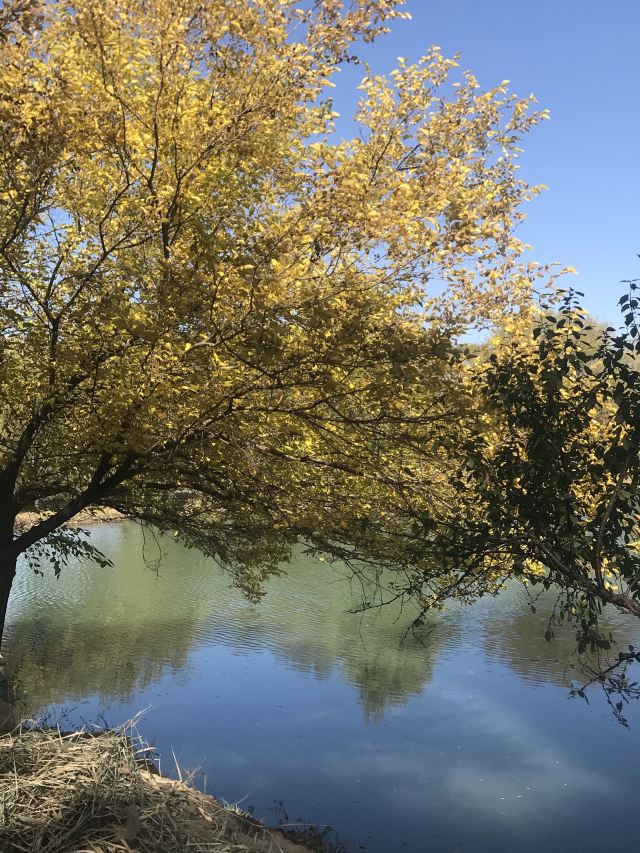 陆良终南山湖攻略,陆良终南山湖门票/游玩攻略/地址/图片/门票价格
