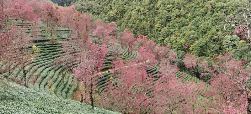 昆明旅游网