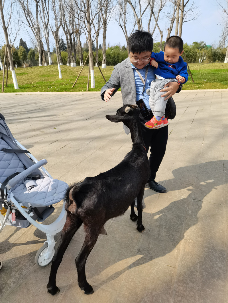 昆明旅游网