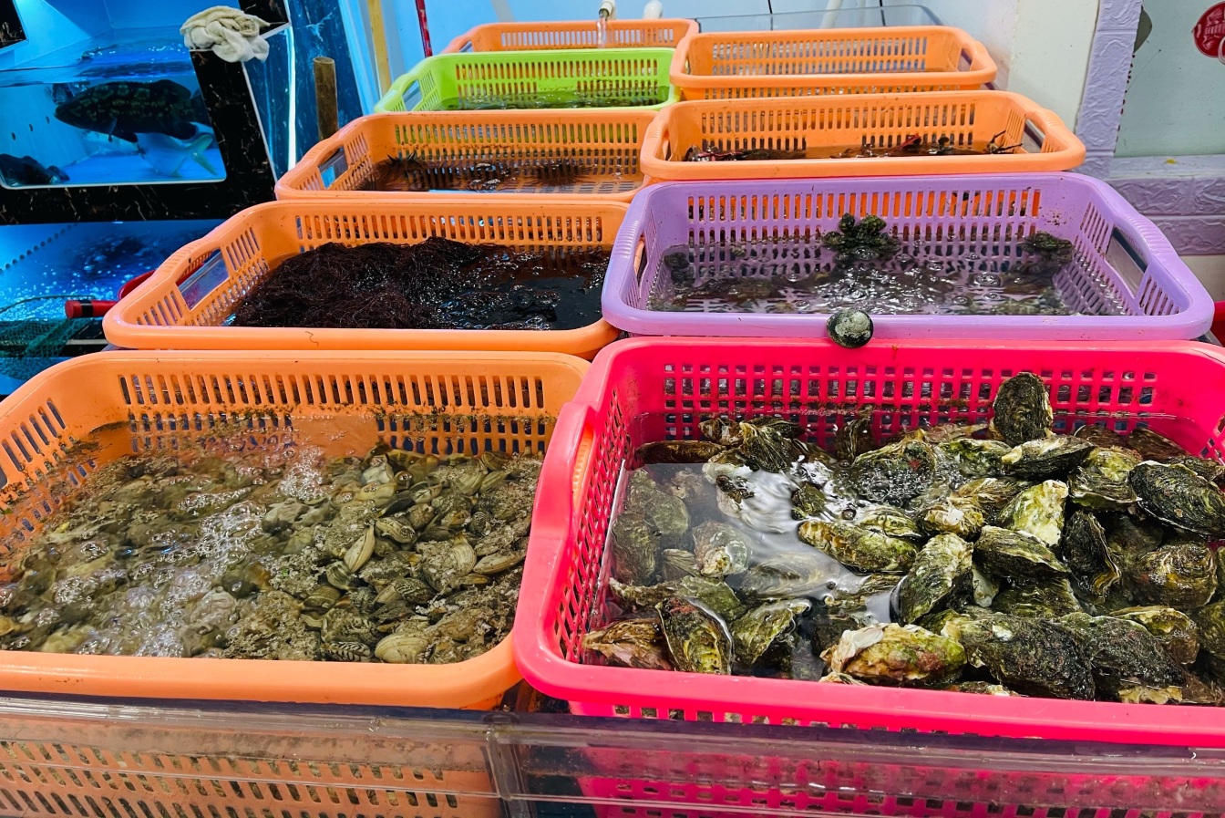 法库阿来海鲜楼攻略 阿来海鲜楼套餐 特色菜品推荐 菜单 人均消费 电话 地址 菜系 点评 营业时间 餐厅介绍 哪个菜好吃 携程美食 法库阿来海鲜楼攻略 阿来海鲜楼套餐 特色菜品推荐 菜单 人均消费 电话 地址 菜系 点评 营业时间 餐厅介绍 哪个菜好吃 携程美食