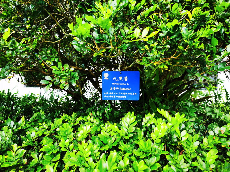 昆明旅游网