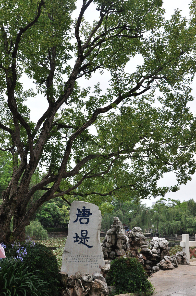 昆明旅游网