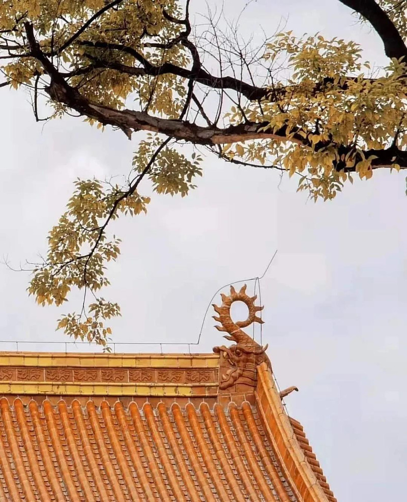 昆明旅游网