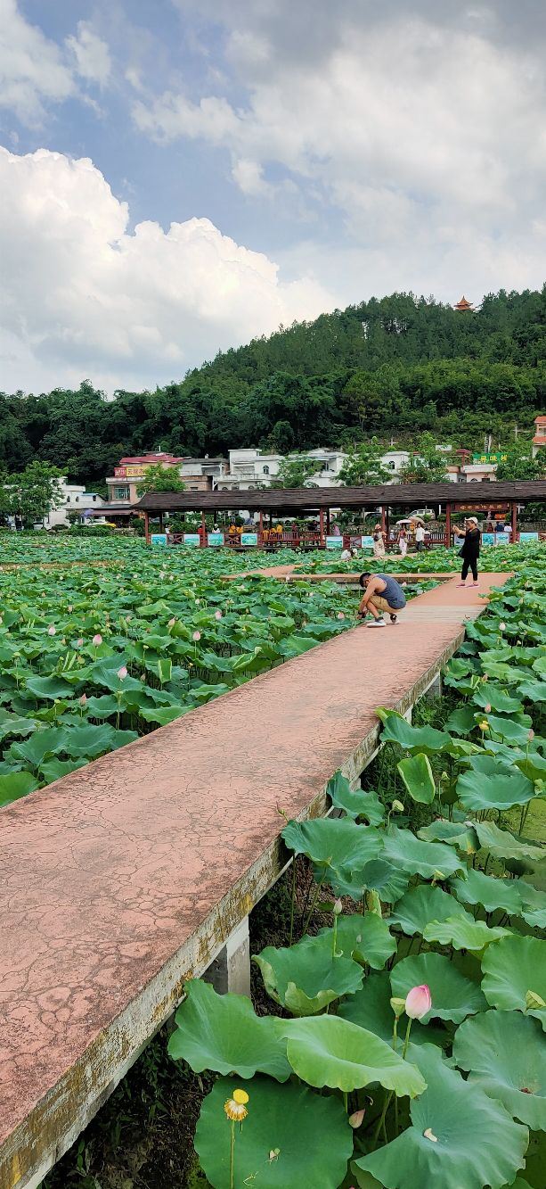 广州红山村攻略,广州红山村门票/游玩攻略/地址/图片/门票价格【携程