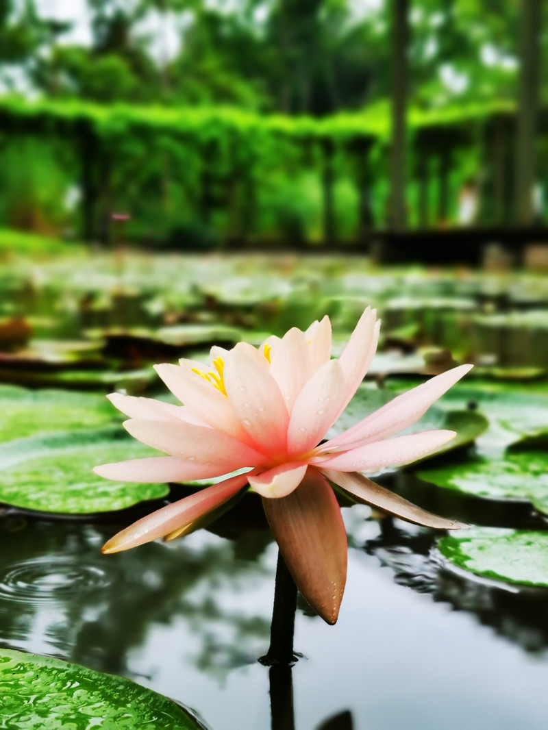 昆明旅游网