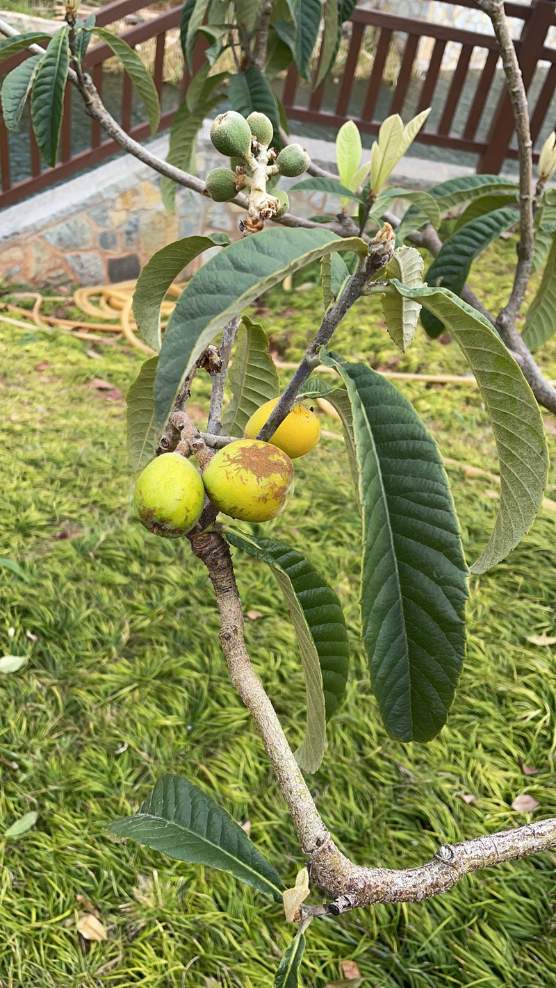昆明旅游网