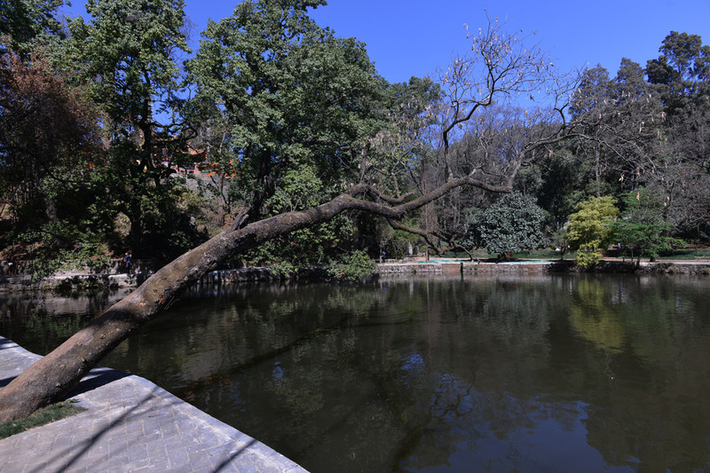 昆明旅游网