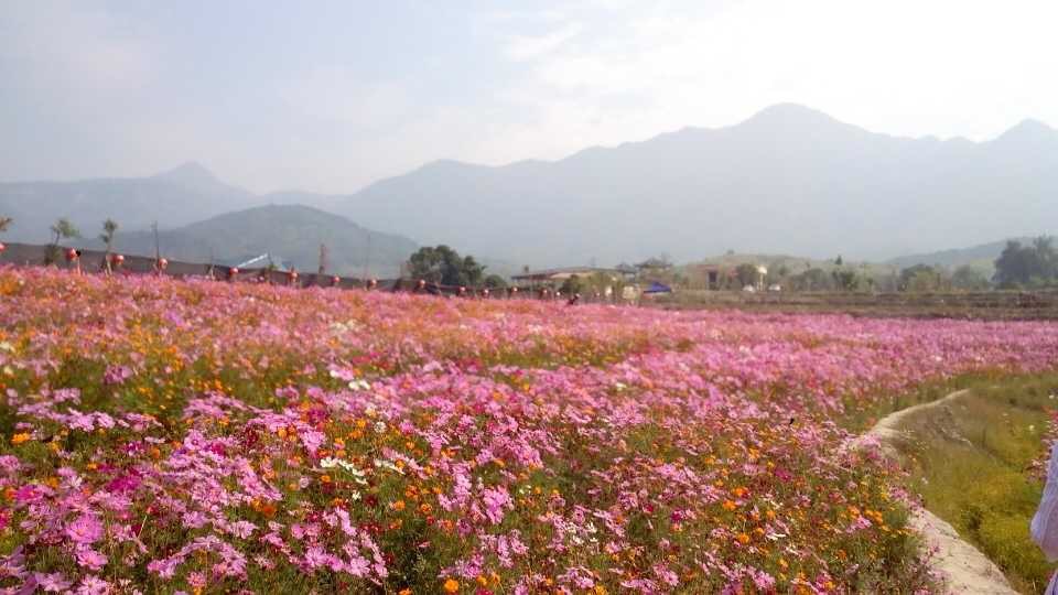 孔元花之谷