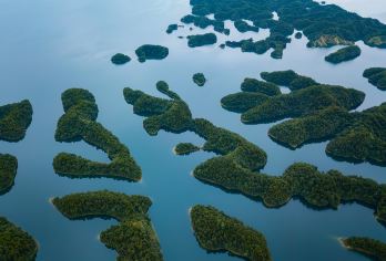 千岛湖景区一日游【黄山出发 玩东南湖区上门接送 天天发班】【船游千岛湖东南湖区，登黄山尖岛，将300余座岛屿尽收眼底】