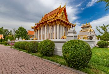 龙门石窟+白马寺+洛阳博物馆一日游【【精品团20人】市区接】【全程精品导游讲解，不进店不购物，让您的旅游更纯粹】