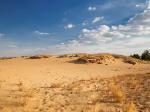Red Sand Dunes - ĐỒI CÁT ĐỎ