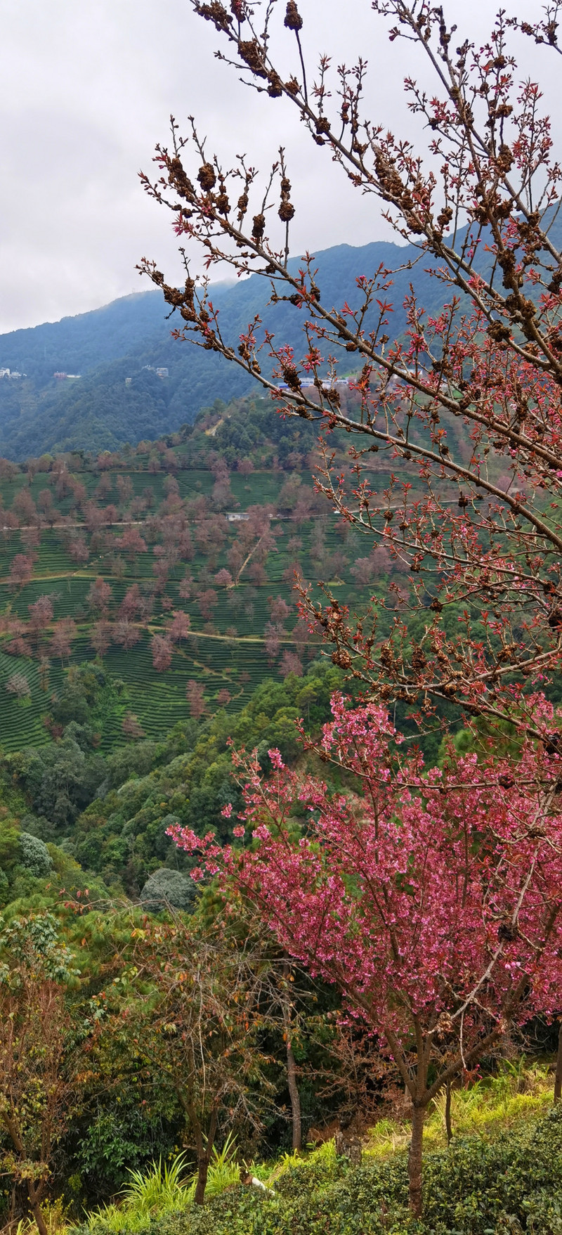 昆明旅游网