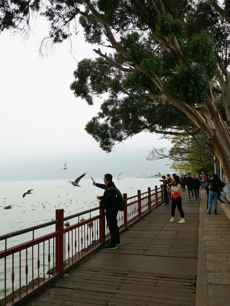 昆明旅游网