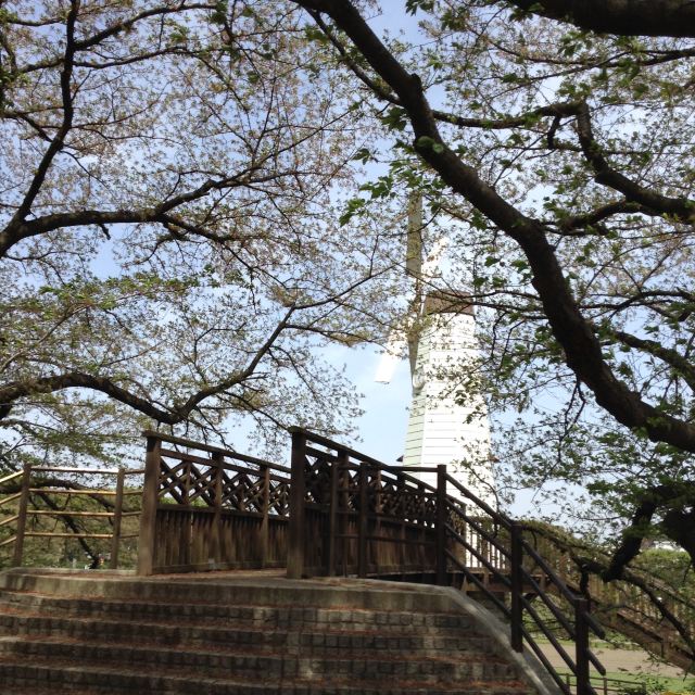 埼玉市大宫第二公园攻略 埼玉市大宫第二公园门票 游玩攻略 地址 图片 门票价格 携程攻略 埼玉市大宫第二公园攻略 埼玉市大宫第二公园门票 游玩攻略 地址 图片 门票价格 携程攻略