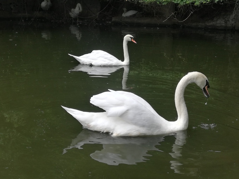 昆明旅游网