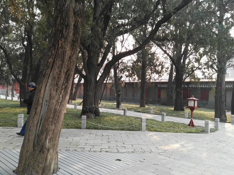 牌楼多少人口_古建牌楼
