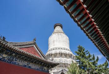 山西忻州五台山一日游【忻州出发+精品团+首站五爷】【首站五爷+祈福文殊祖庭】