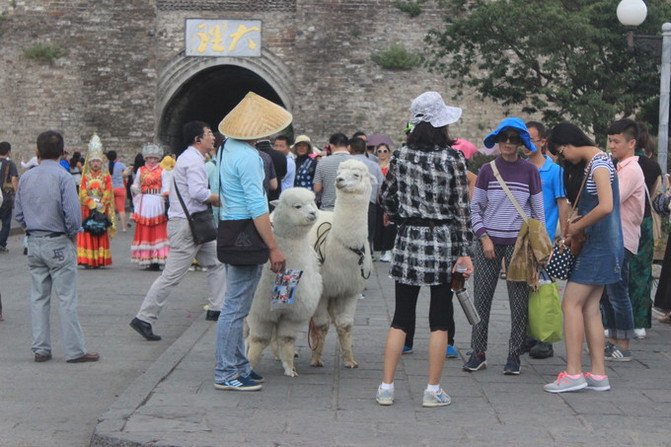 昆明旅游网