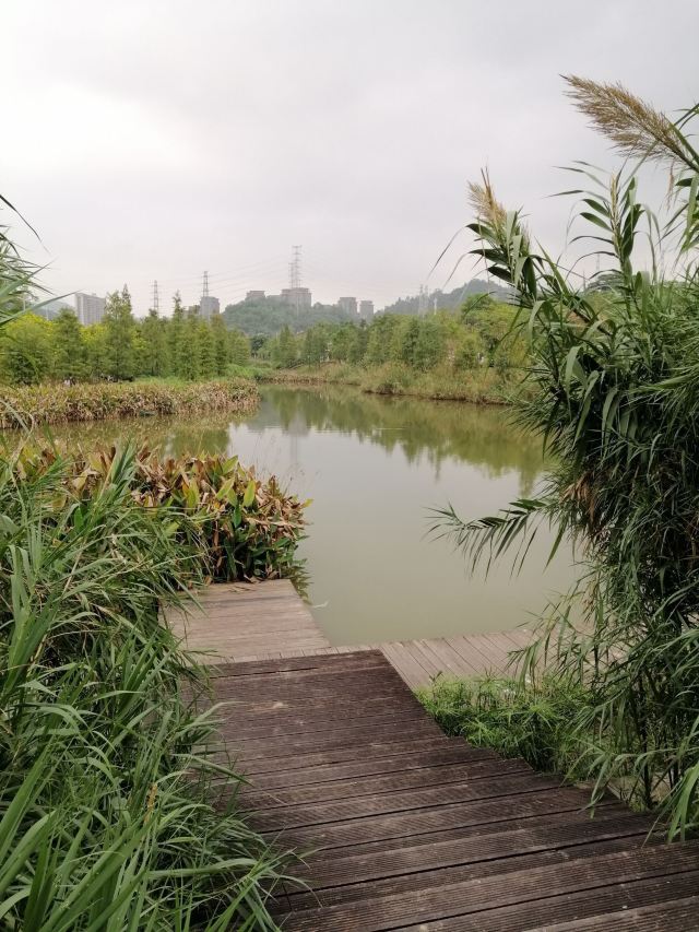 廣州大觀溼地公園攻略,廣州大觀溼地公園門票/遊玩攻略/地址/圖片