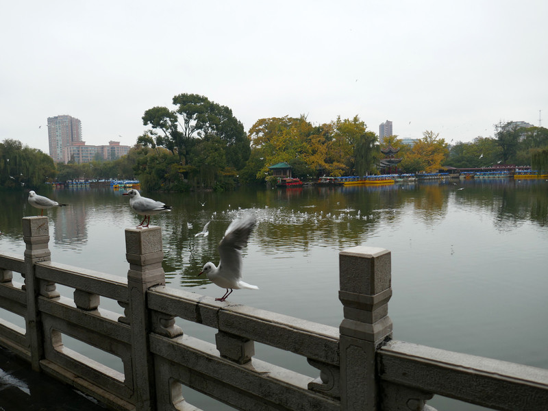 昆明旅游网