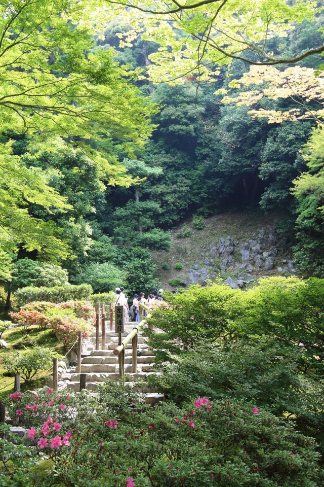 京都大文字山攻略 京都大文字山门票 攻略 地址 图片 门票价格 携程攻略