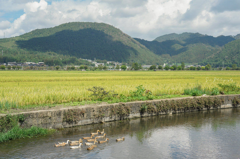 昆明旅游网