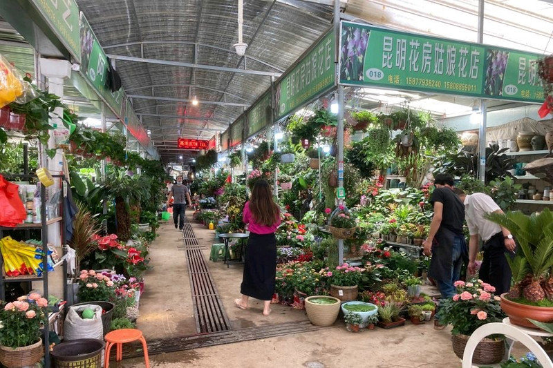 昆明旅游网