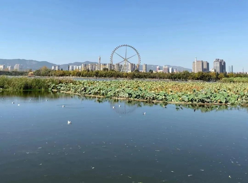 昆明旅游网