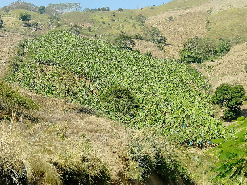 昆明旅游网