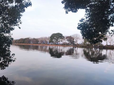 大吴山森林公园