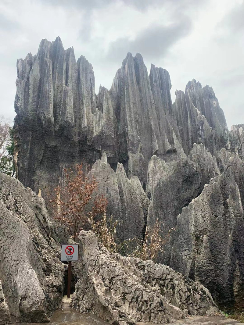 昆明旅游网