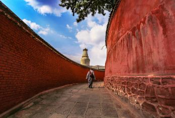 山西五台山一日游【上门接送/包车+景点任选+纯玩无购物】【一车一团不拼团，专车上门接送，游玩更随性】