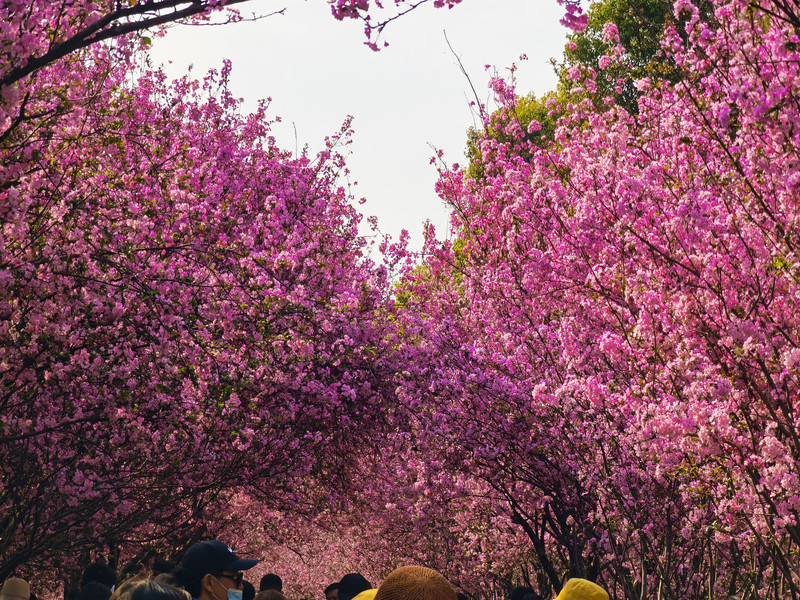 昆明旅游网