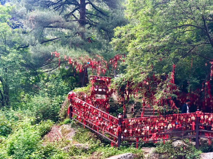 昆明旅游网