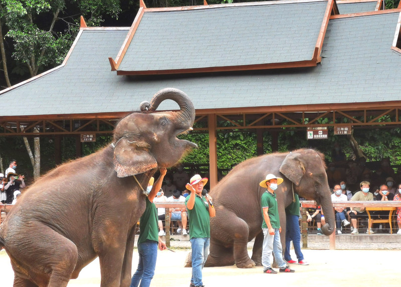 昆明旅游网