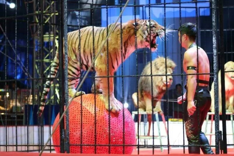 昆明旅游网
